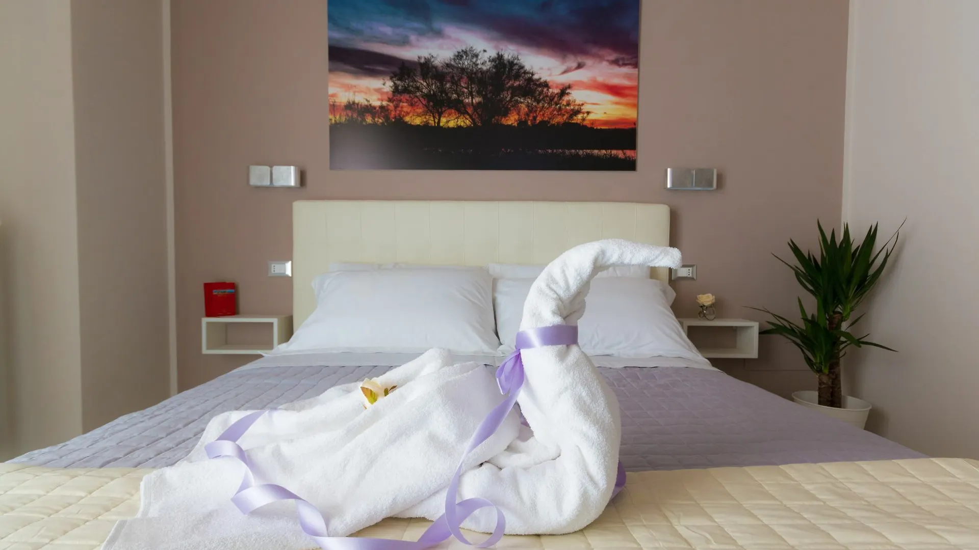 Photoguest B&B Syracuse